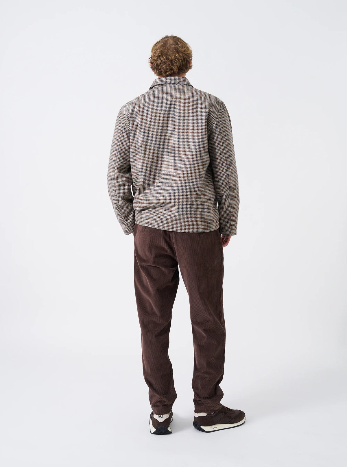 Cord Military Chino -  Cacao