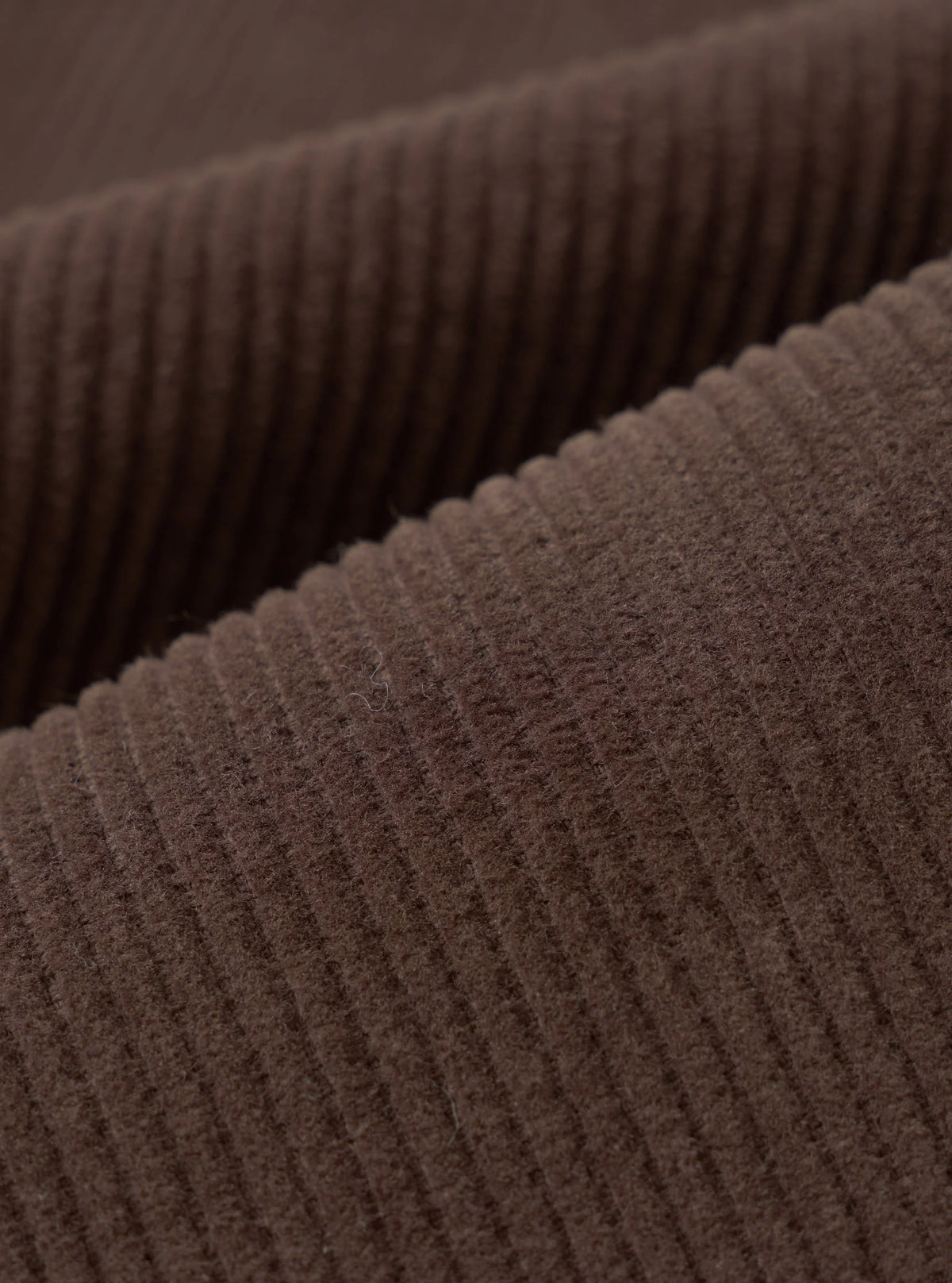 Cord Military Chino -  Cacao