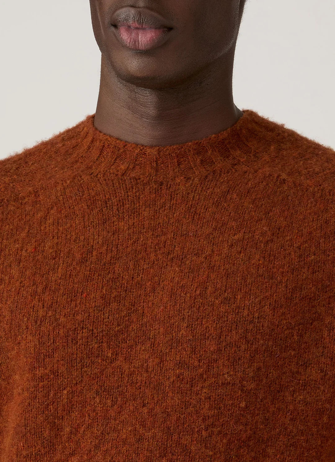 Brushed Shetland Crew Neck - Dark Tobacco